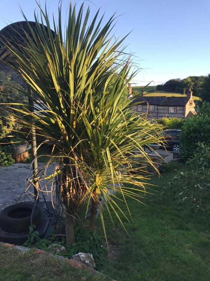 Fern Cottage Dorchester Esterno foto